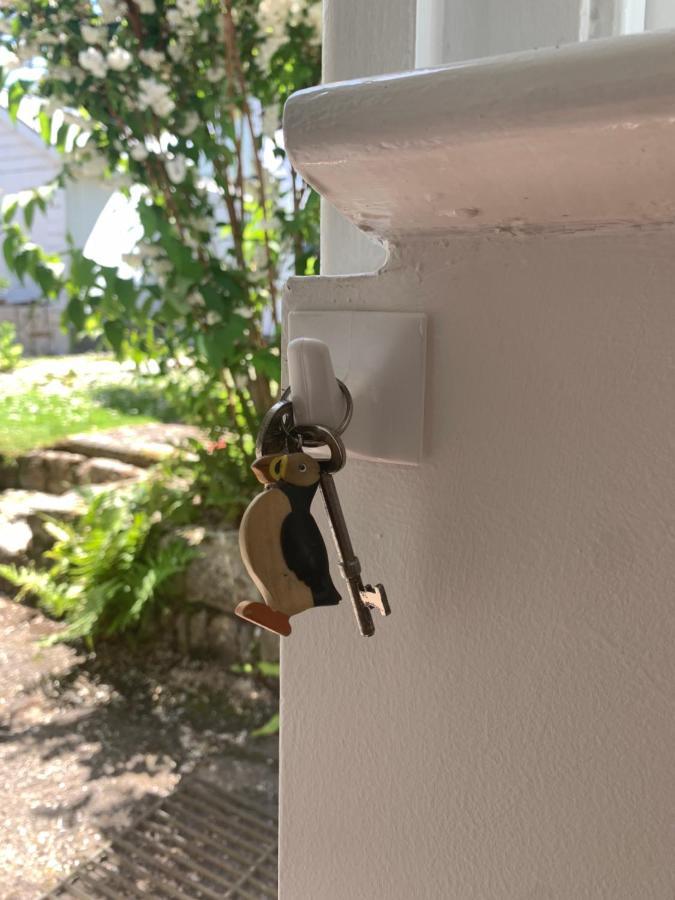 Puffin. Comfortable Annexe Central Falmouth Exterior foto